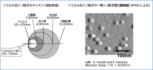＜ミセル化ナノ粒子のサイズ＞（当社作成）＜ミセル化ナノ粒子の一例＞（原子間力顕微鏡（AFM）による）